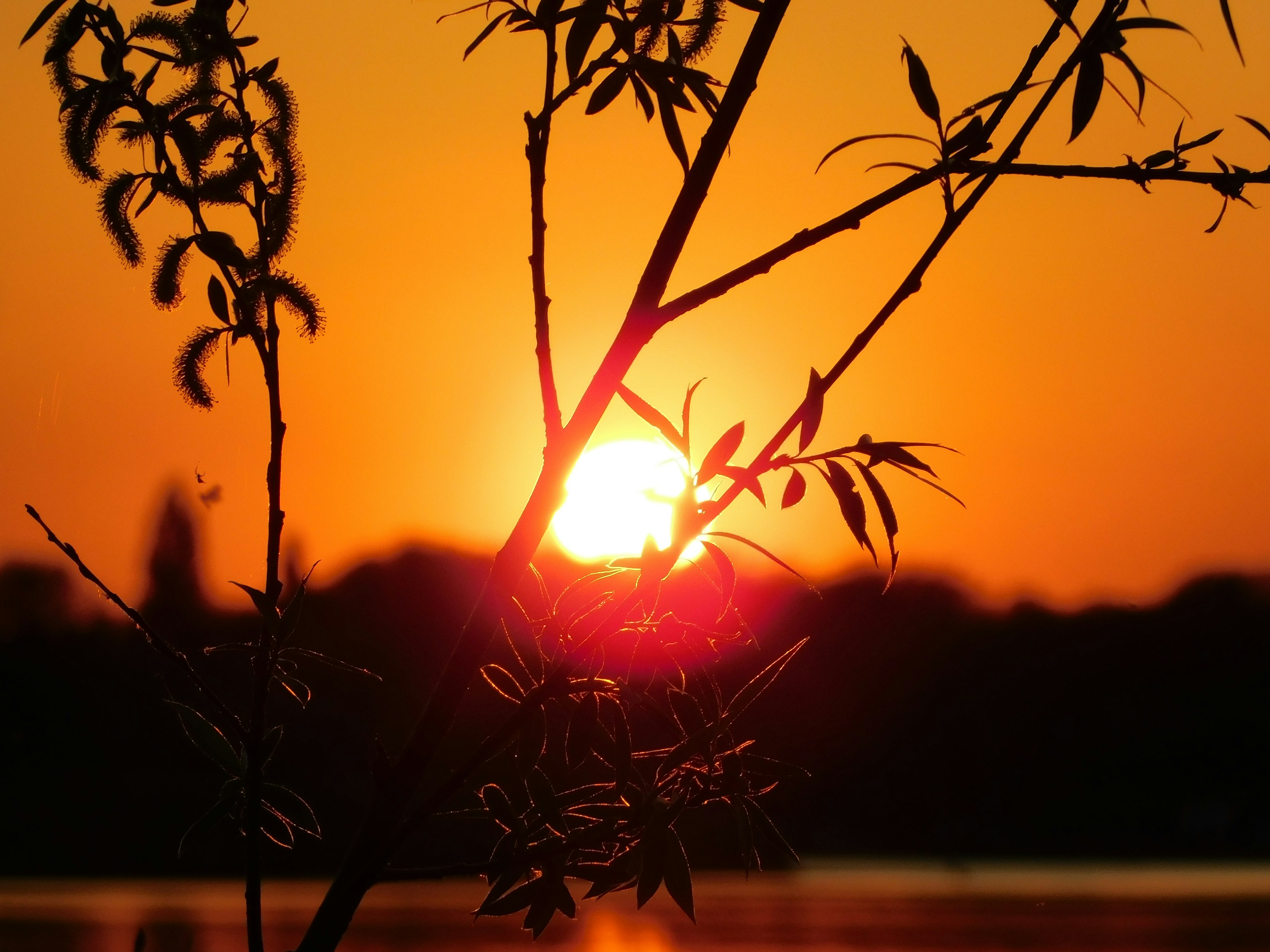 Photo by samanthasam05