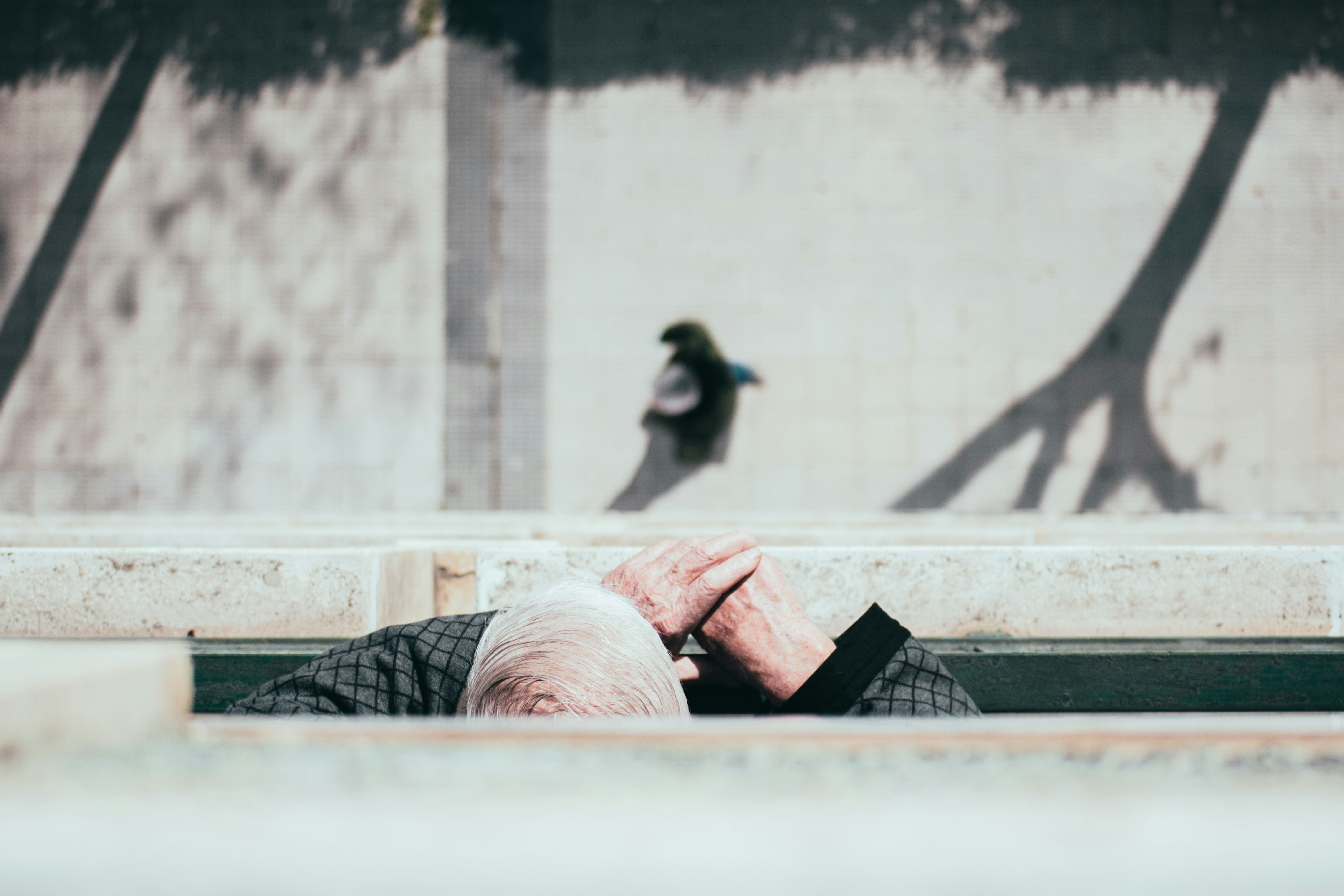 Photo by chasingssuns