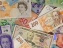 10 and 20 us dollar bill