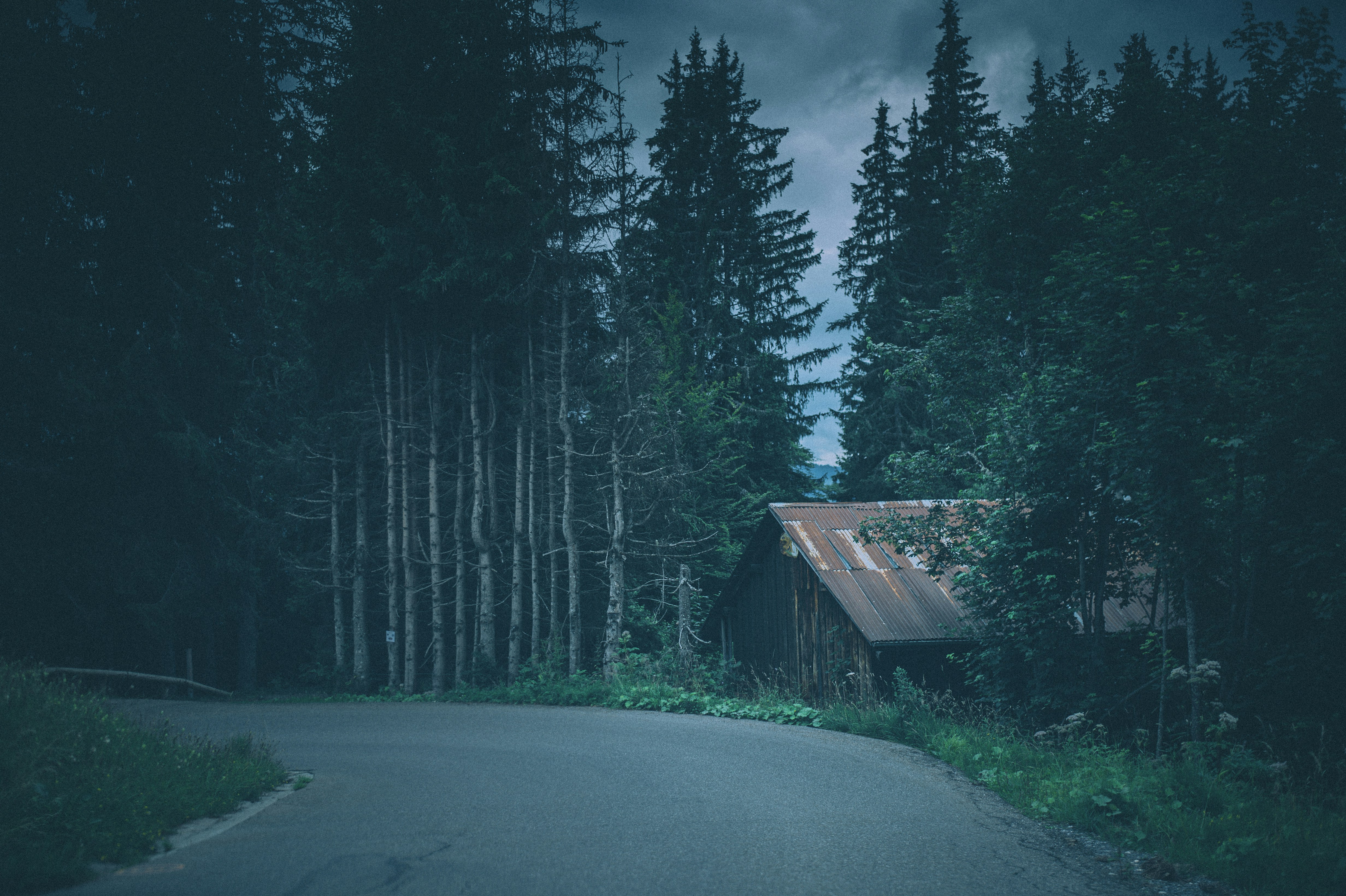 Photo by vonshnauzer