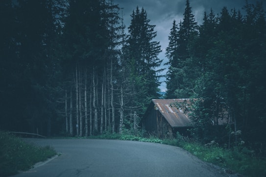 A winding road passes by dense, tall trees in a forested area. A rustic, weathered cabin with a tin roof is partially hidden among the trees, adding an element of mystery. The overall atmosphere is shadowy and moody, with overcast skies hinting at impending rain.