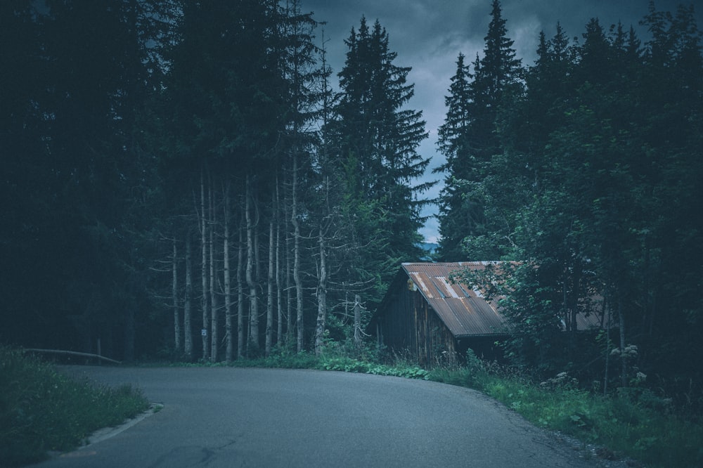 brown wooden house in the middle of the forest