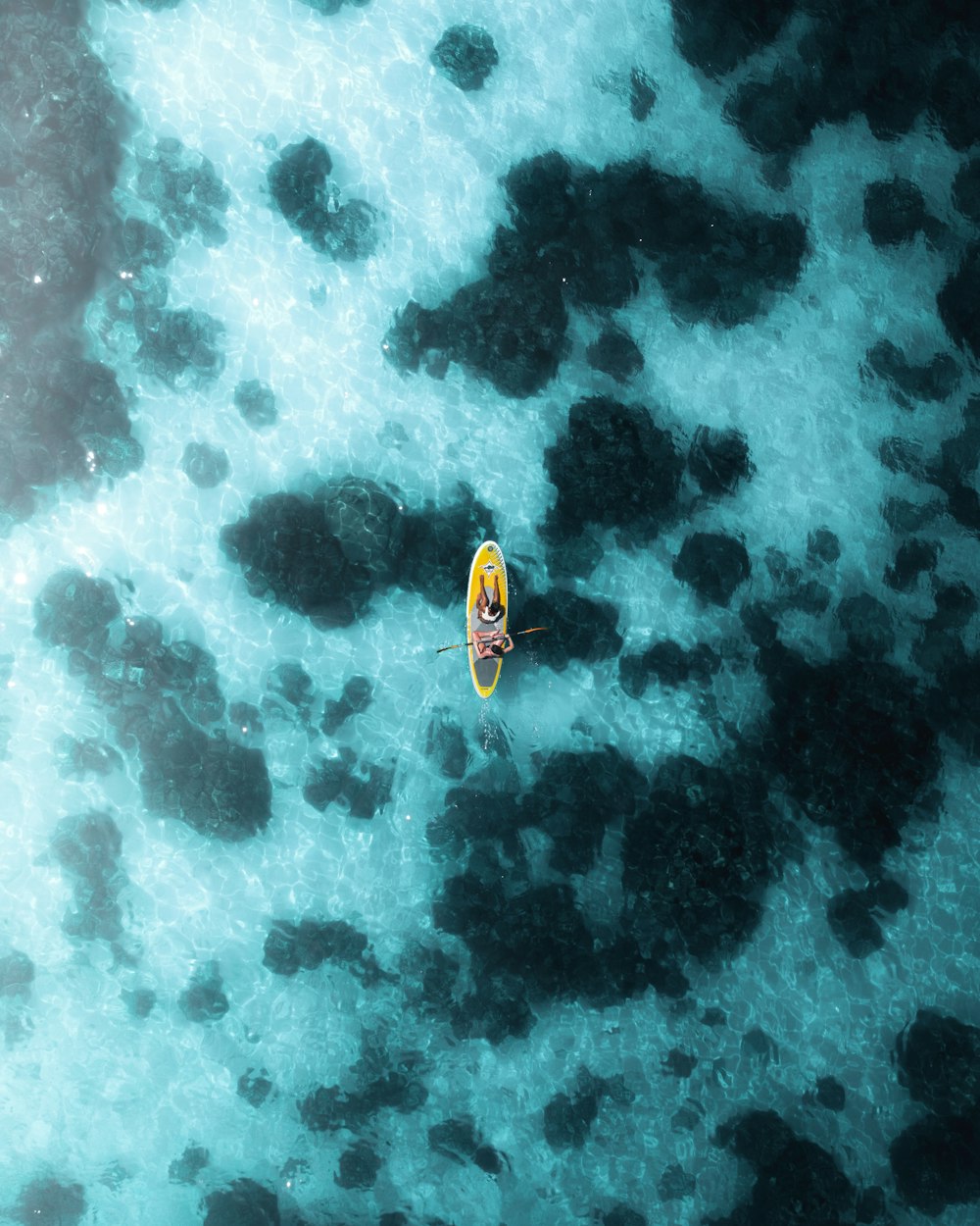 yellow and black boat on body of water