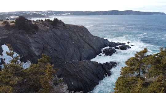 Logy Bay-Middle Cove-Outer Cove things to do in St. John's