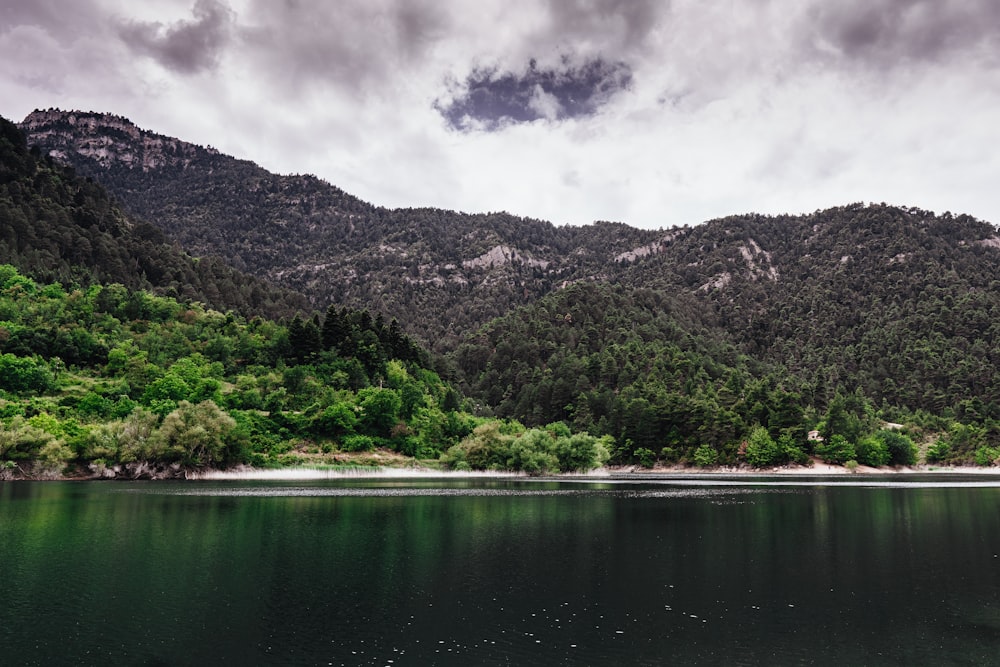 green trees near body of water under cloudy sky during daytime