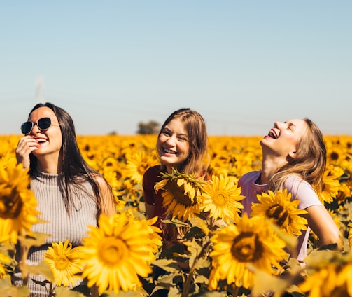 woman in white and black striped shirt standing on yellow sunflower field during daytime