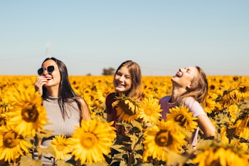 woman in white and black striped shirt standing on yellow sunflower field during daytime