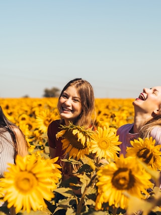 woman in white and black striped shirt standing on yellow sunflower field during daytime