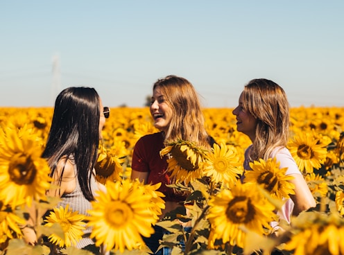 3 women in yellow sunflower field during daytime onlyfans