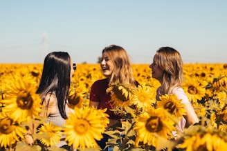 3 women in yellow sunflower field during daytime onlyfans