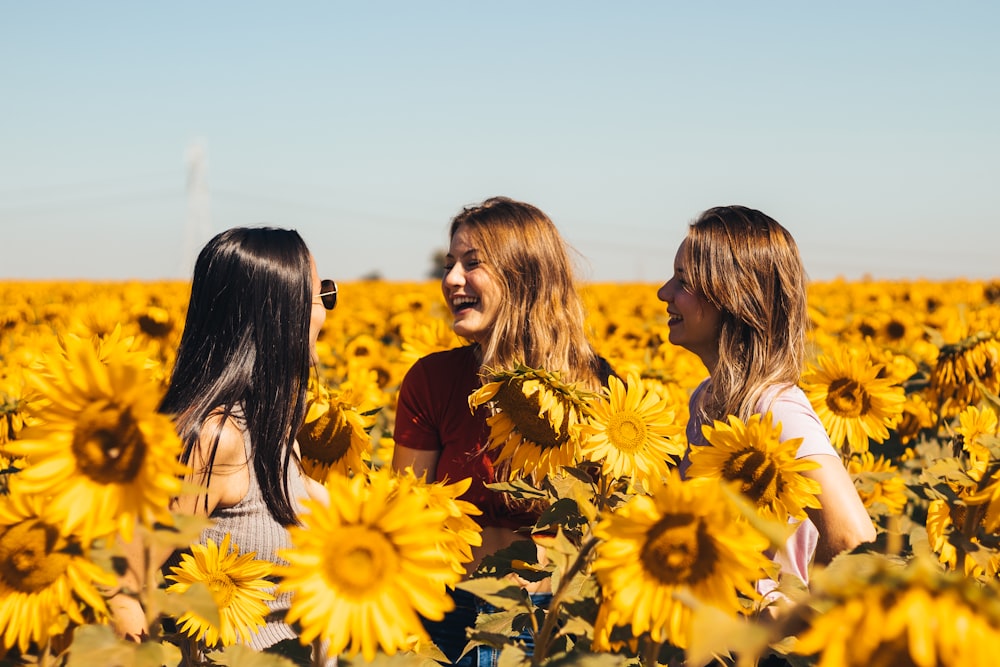3 women in yellow sunflower field during daytime