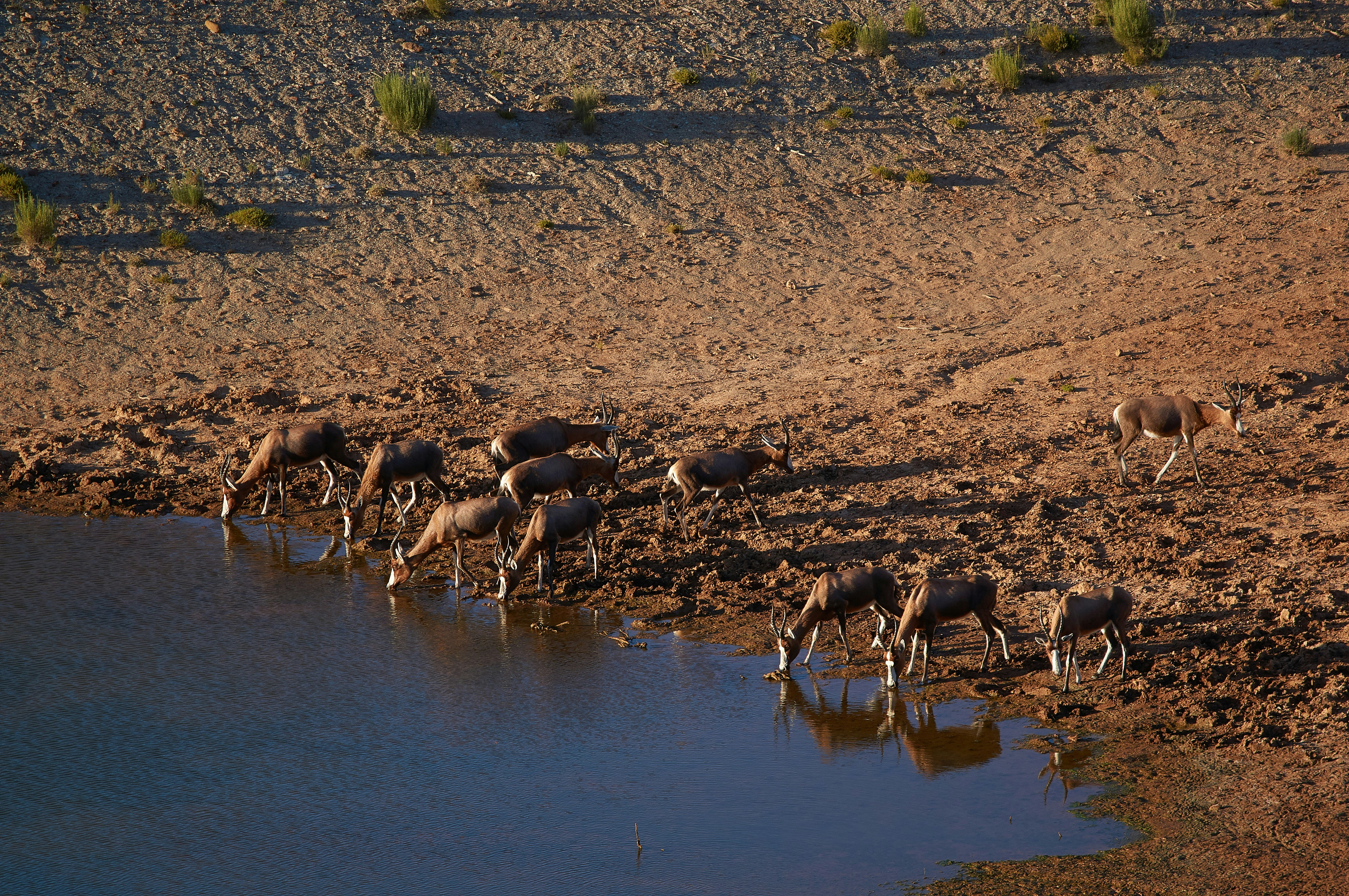 Photo by wolfgang_hasselmann