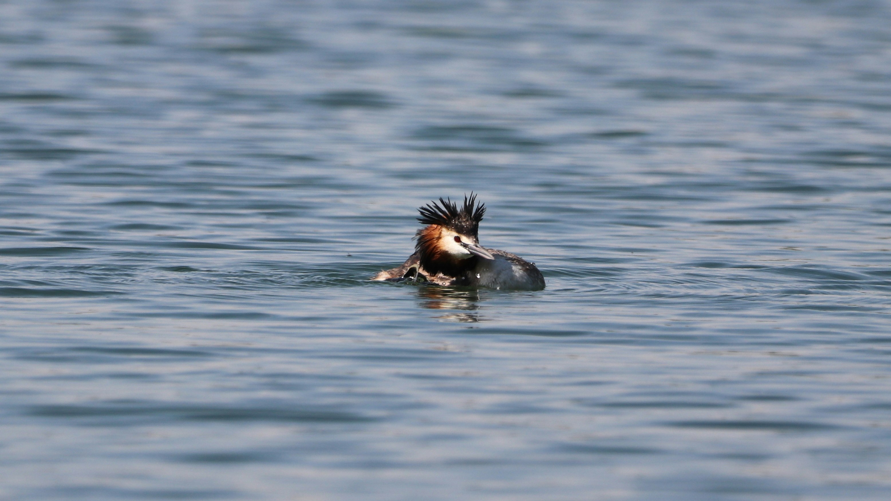 Olomouc – Final Summary