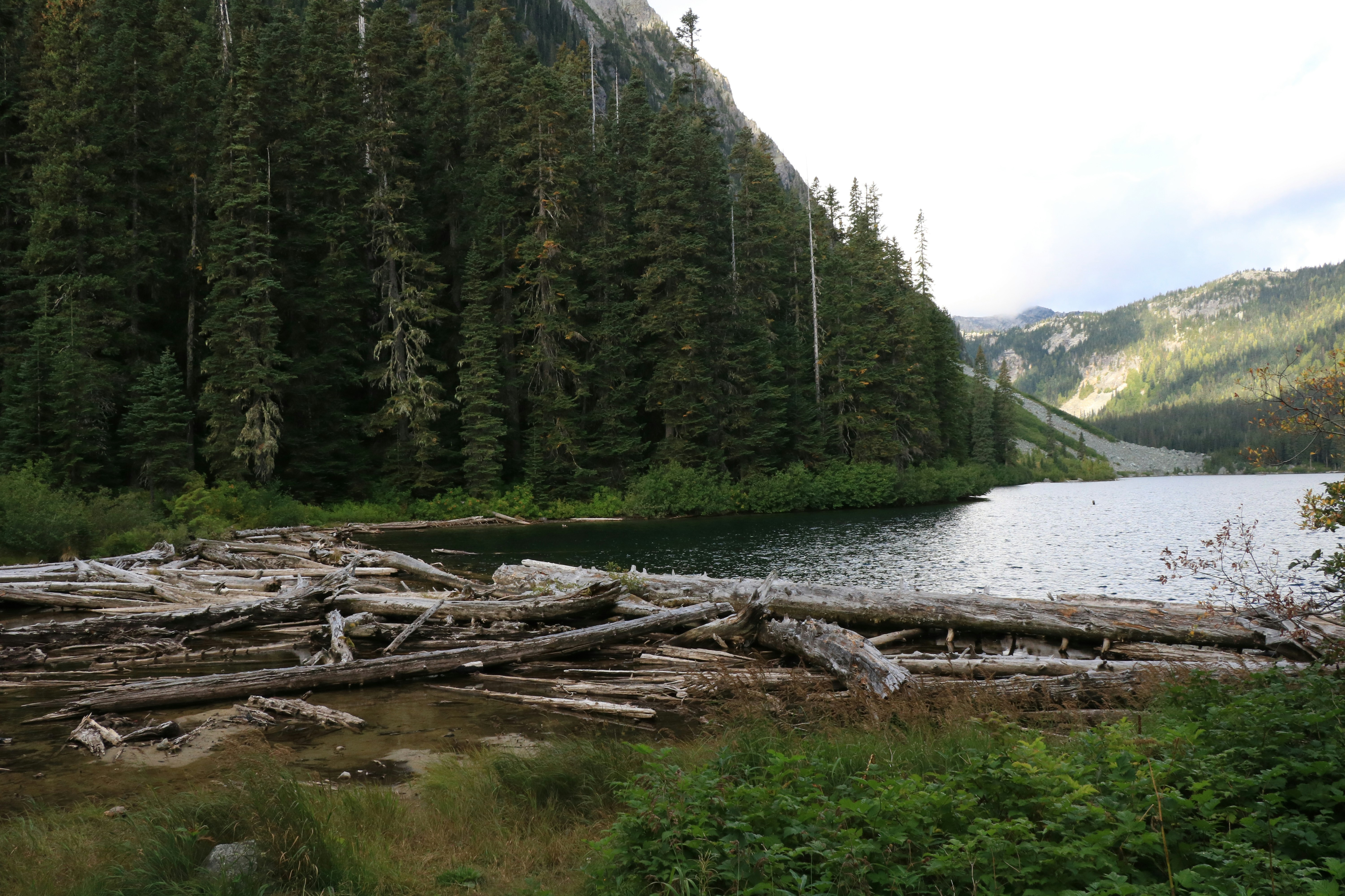 Photo by paris_williams