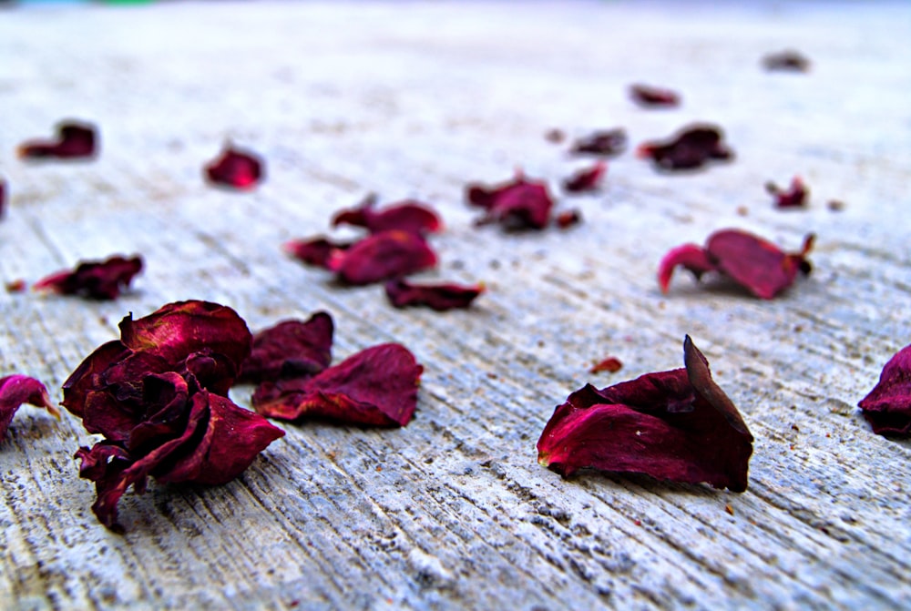 red petals on white wooden surface