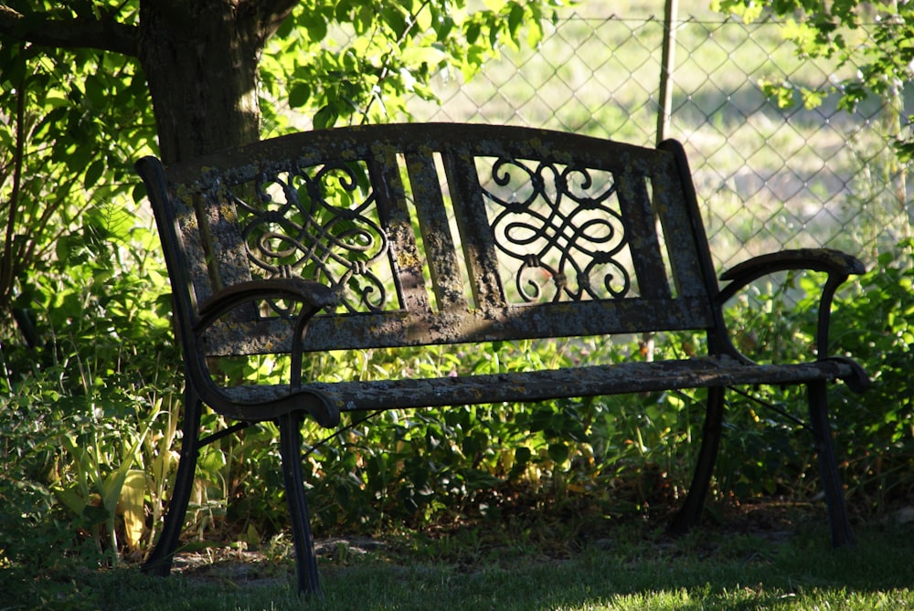 black metal bench near green grass