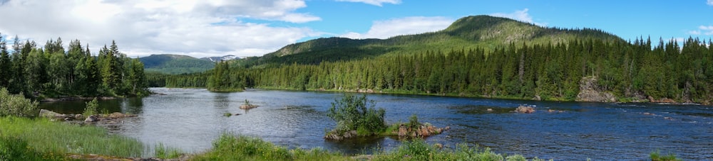 green trees near lake under blue sky during daytime