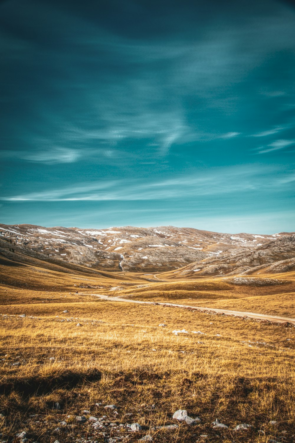 campo marrone sotto il cielo blu durante il giorno