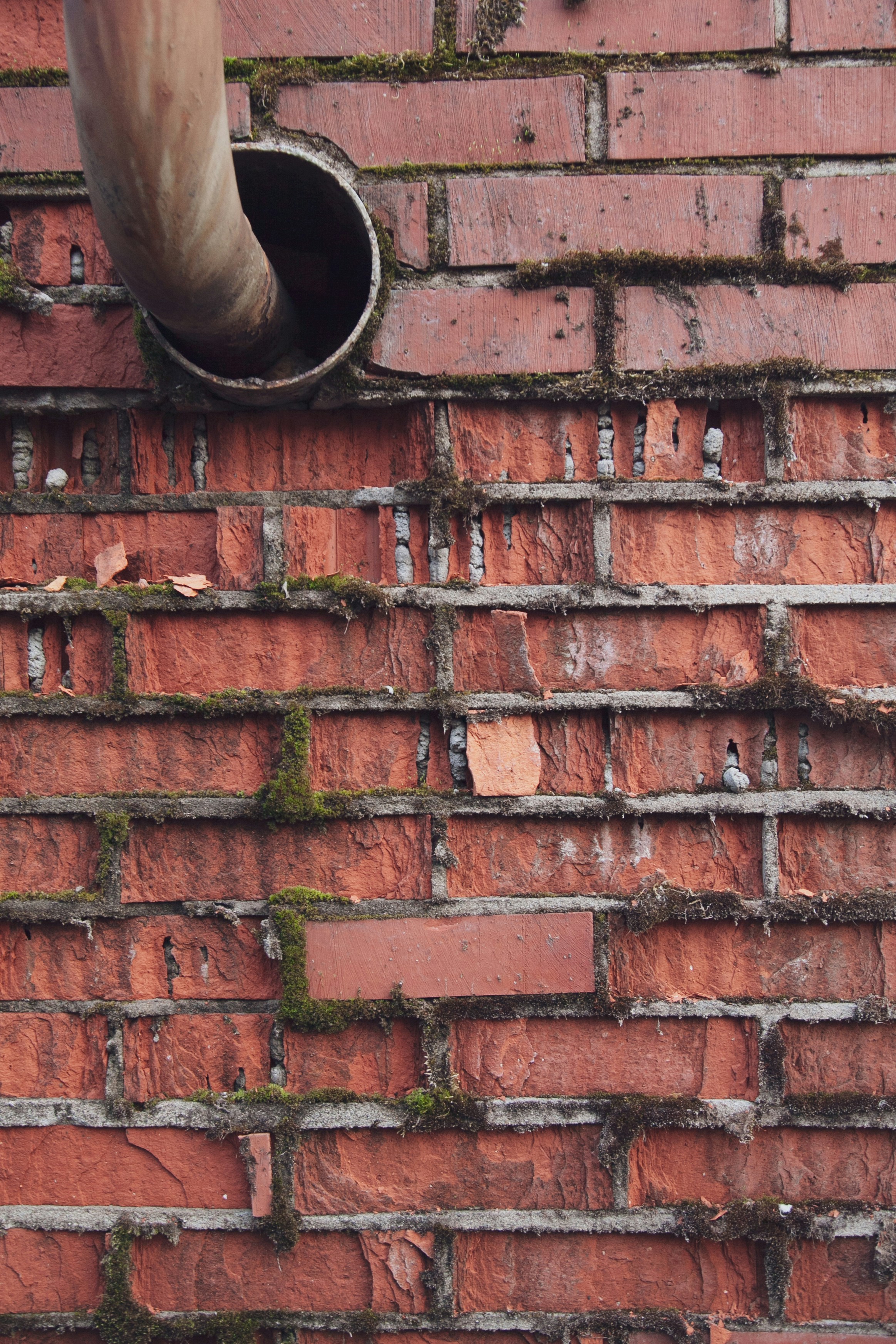 Photo by nick_brookenheimer