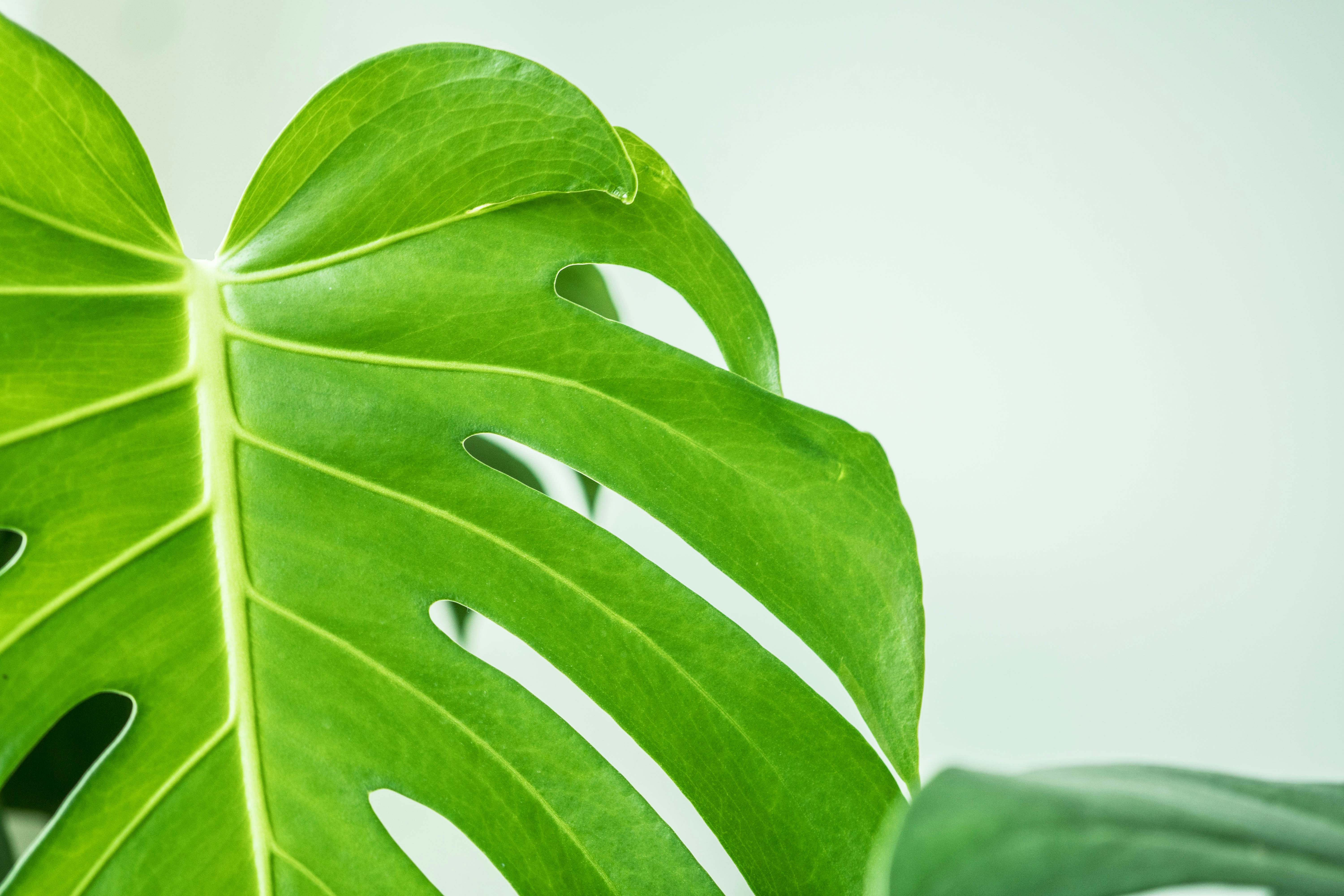 Photo by miquel_parera_mila