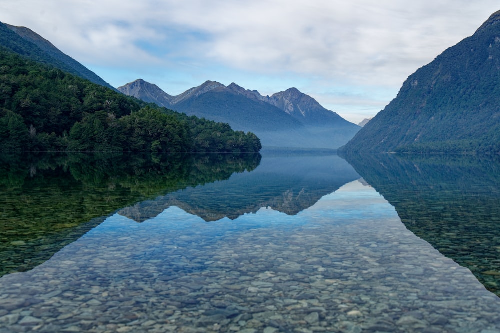 alberi verdi vicino allo specchio d'acqua durante il giorno