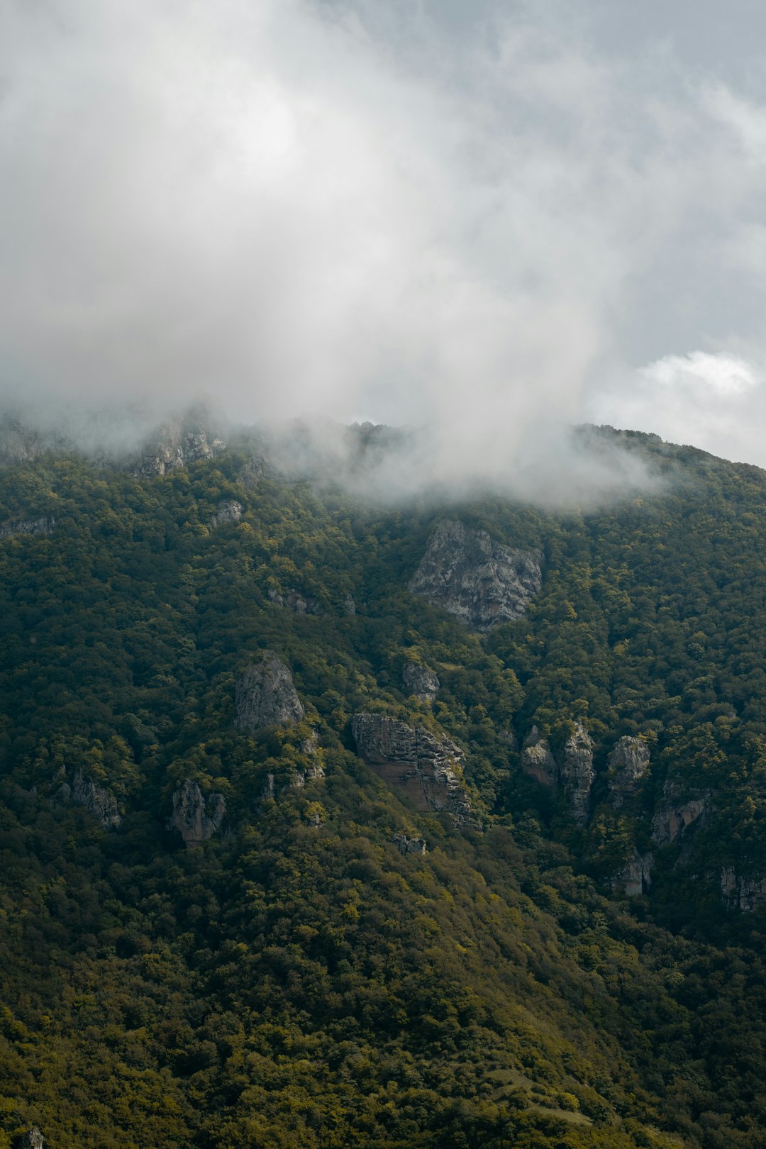 Hill station photo spot Gardaneh-ye Ḩeyrān Heyran