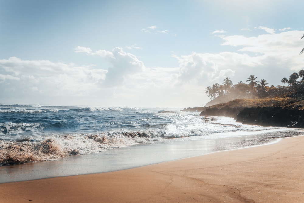 a sandy beach next to the ocean under a blue sky