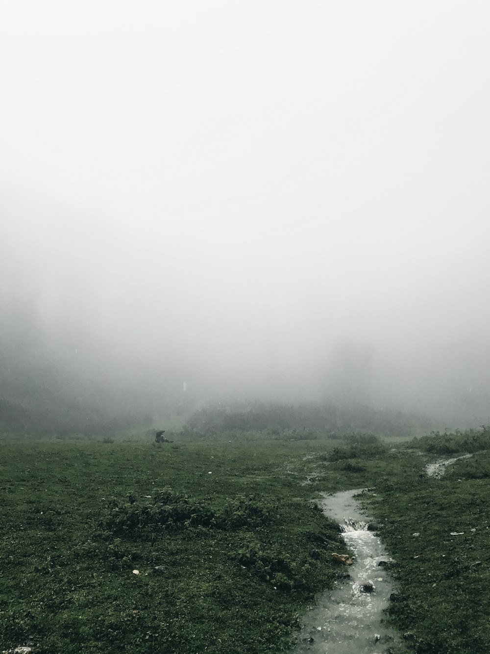 green grass field covered with fog