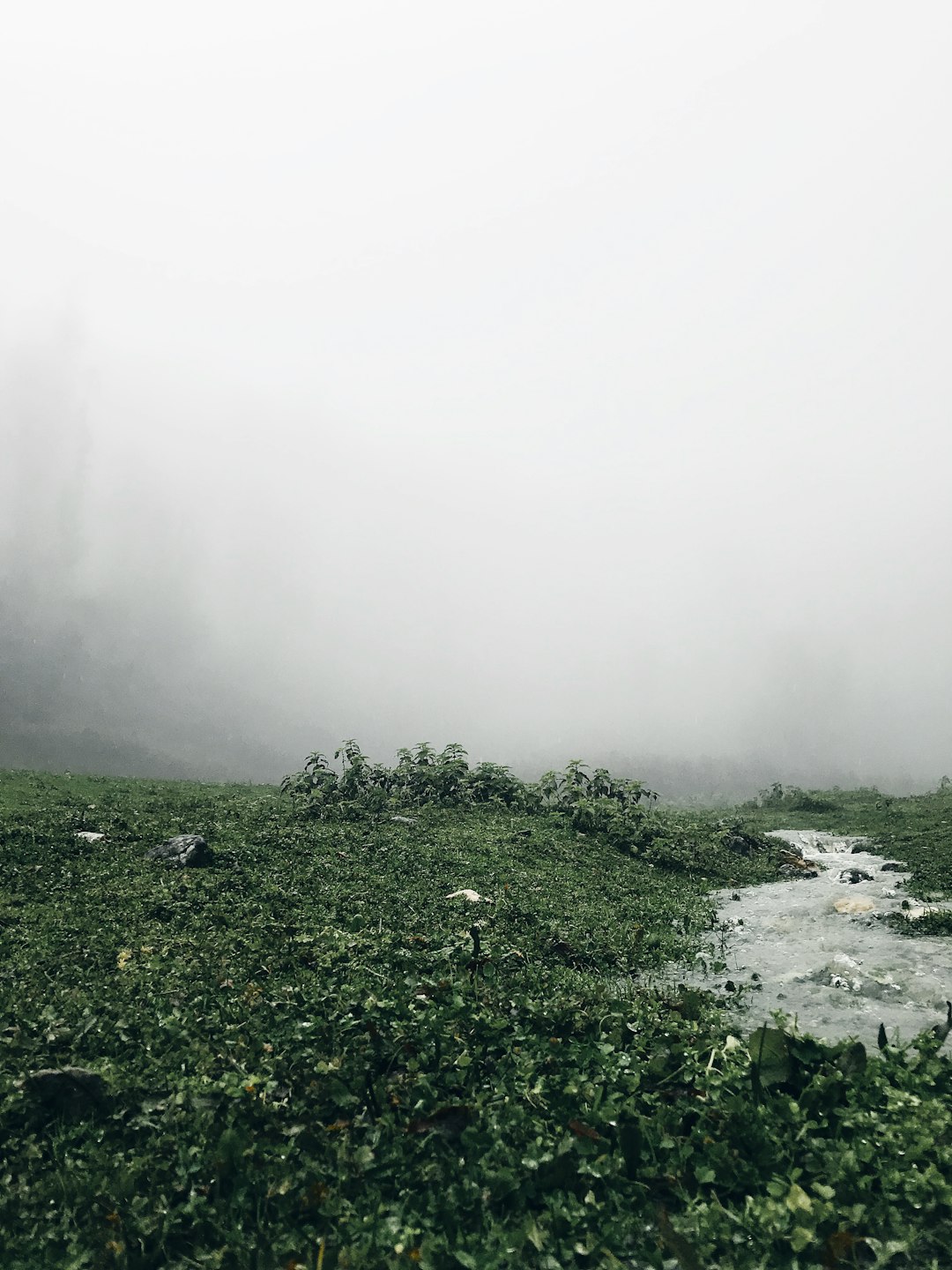 Hill station photo spot Rasht Masal