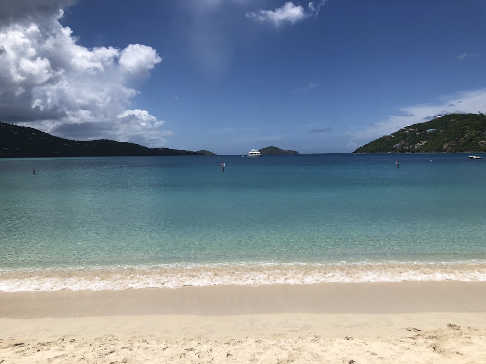 people on beach during daytime