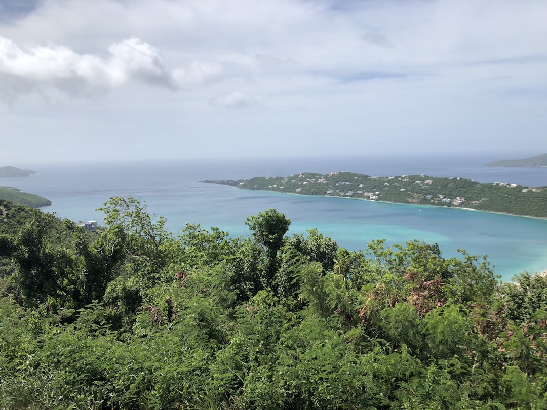 Rising from the Ashes: How St. Thomas Bounced Back as a Caribbean P… — Rising from the Ashes
