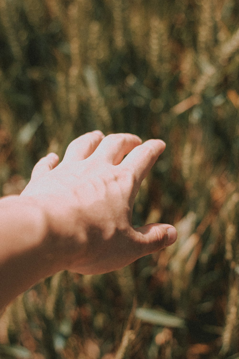 persons hand on brown wooden stick