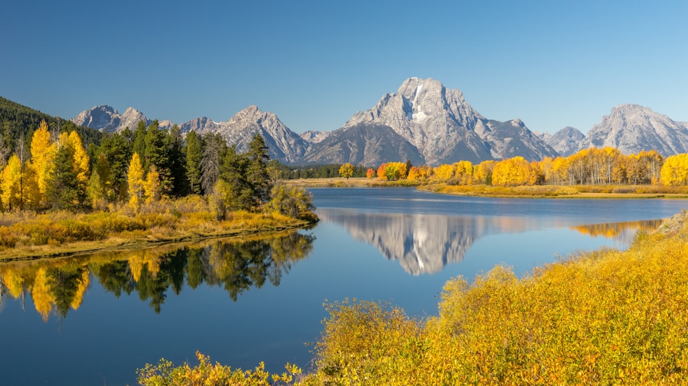 lake surrounded by trees and mountains during daytime