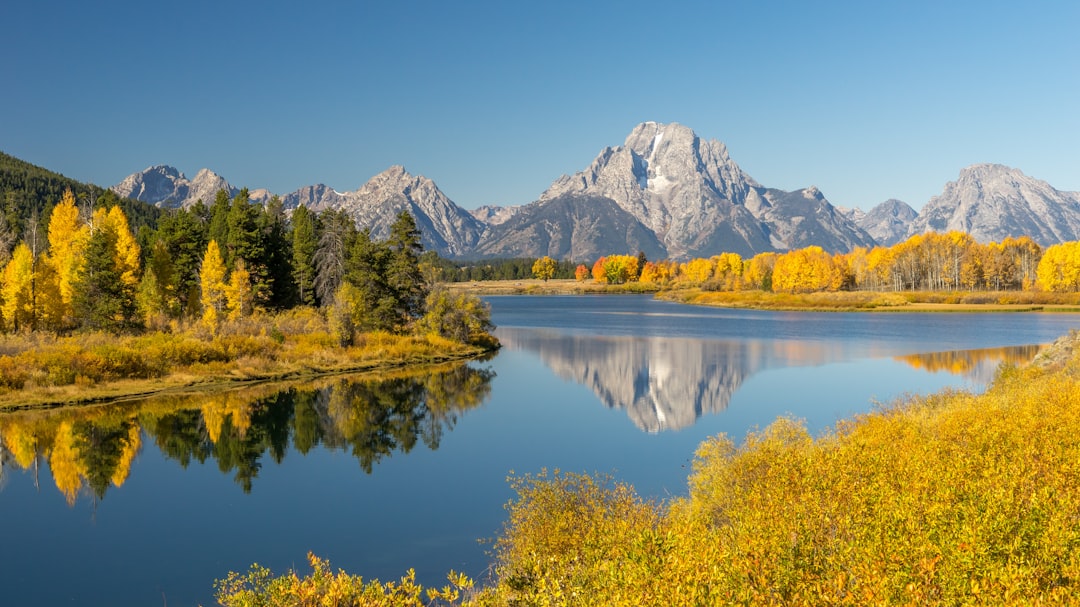 lake surrounded by trees and mountains during daytime