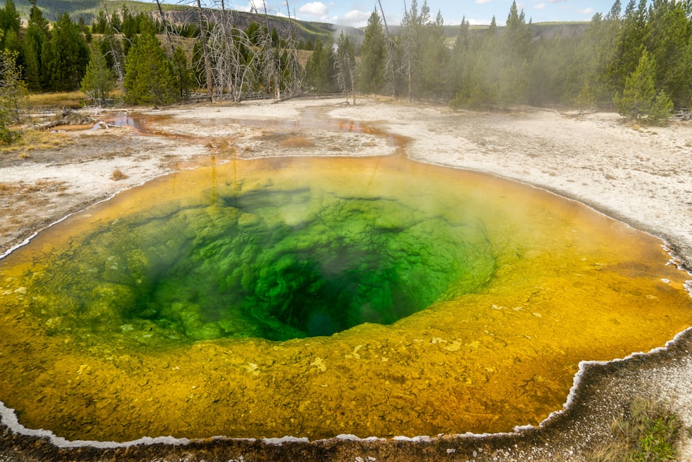 green and yellow water wave