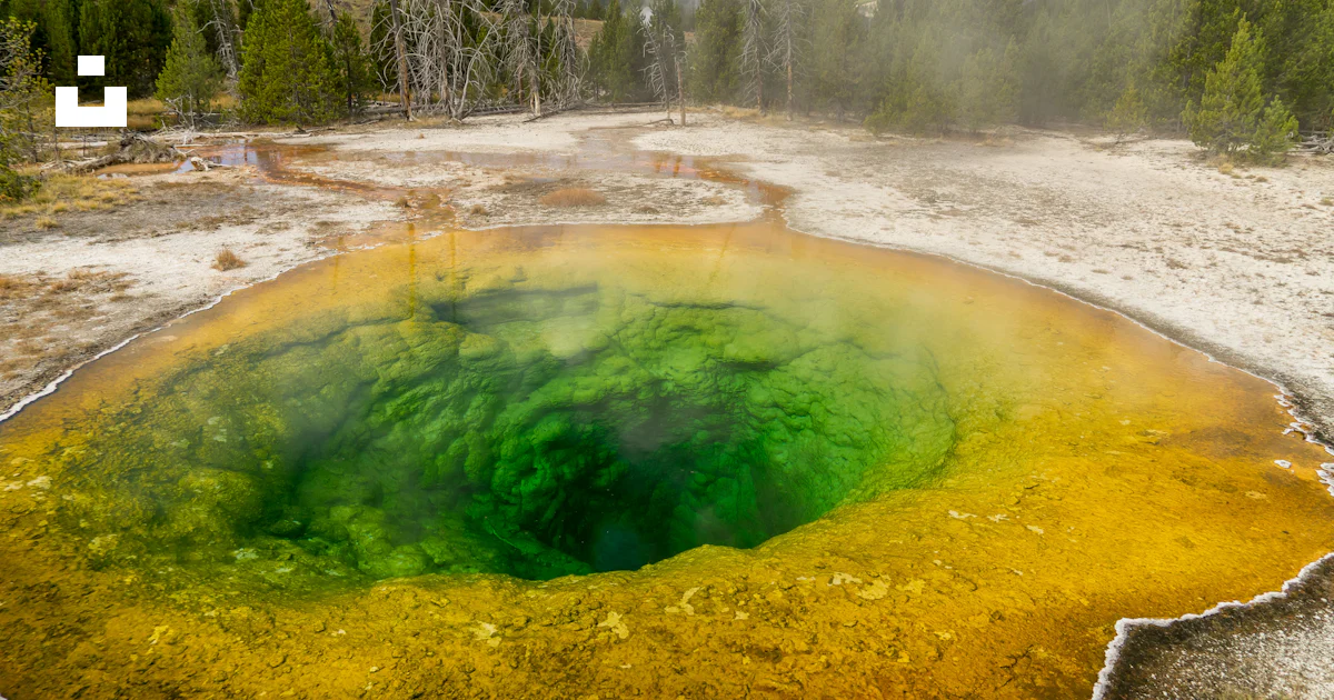 Green and yellow water wave photo – Free Nature Image on Unsplash