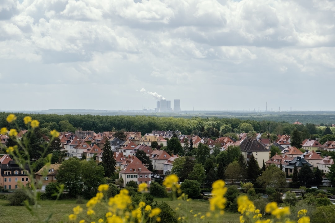 yellow flower field near city buildings under white clouds during daytime