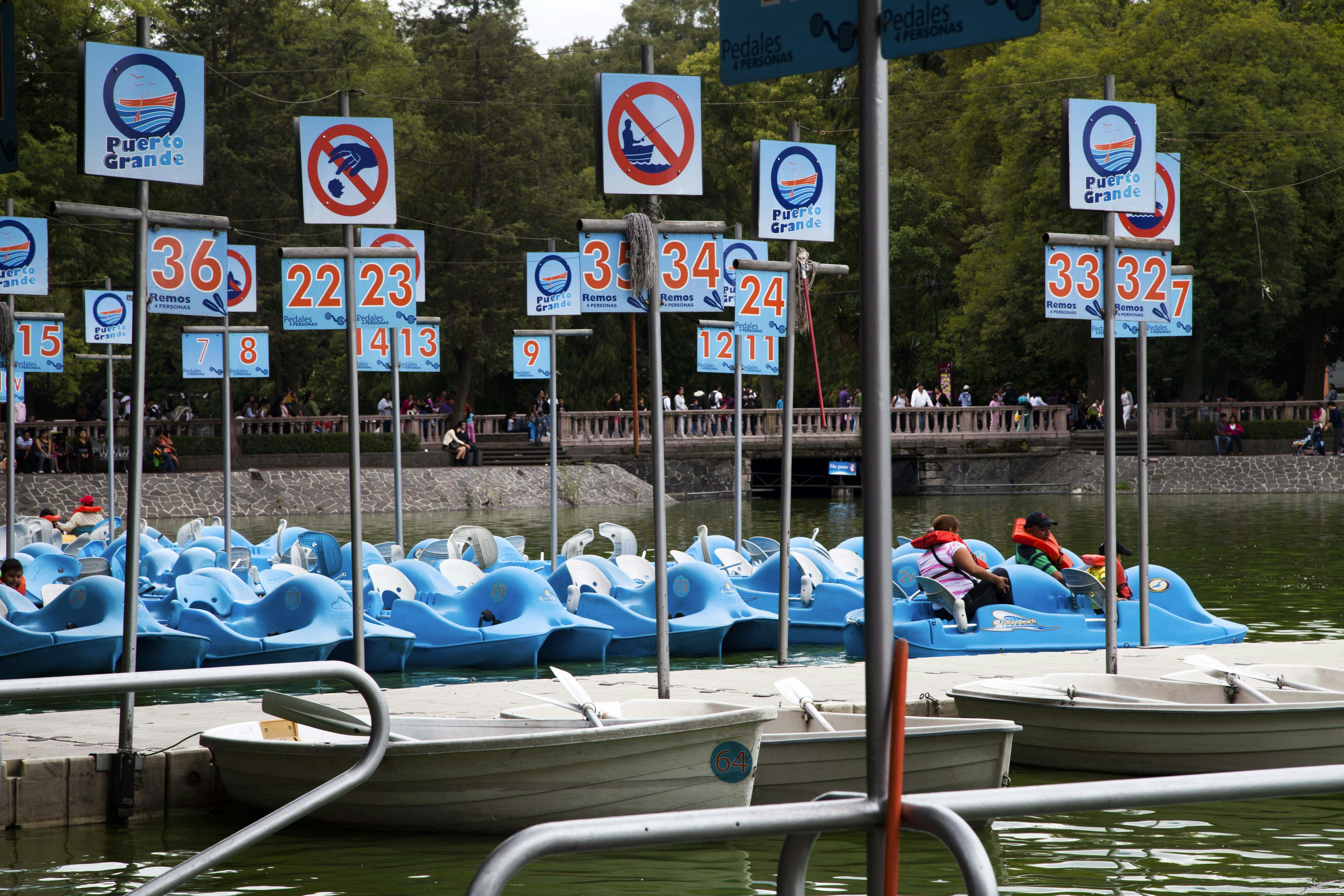 people riding blue and white convertible car during daytime, 