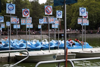 A dock area with multiple blue paddle boats lined up in the water, each marked with numbers on signs. Some people wearing life jackets are seen on the boats, and there are several no-entry signs. The background features a green park with trees and a stone pathway where people are walking.