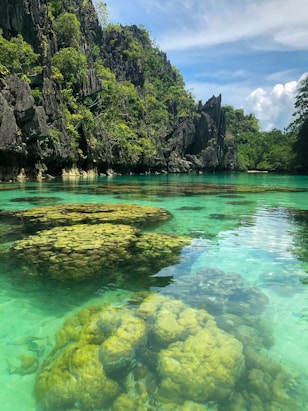 green and brown rock formation beside body of water during daytime
