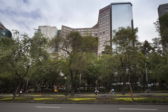 A cityscape featuring a large hotel building with a modern architectural design rises behind a row of tall, lush green trees lining the street. Several people are cycling along the road, adding a sense of activity to the urban environment. The sky is overcast, creating a serene, yet bustling atmosphere.