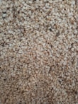 A close-up of high-quality sesame seeds ready for export.