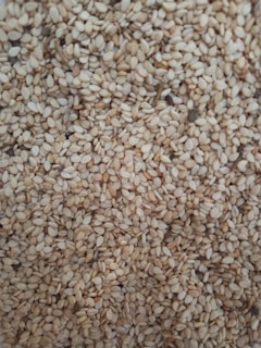 A close-up of high-quality sesame seeds ready for export.