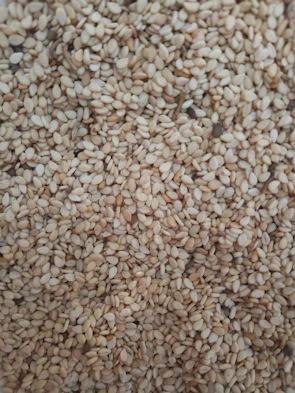 Stacks of neatly packed sesame seed bags ready for export.