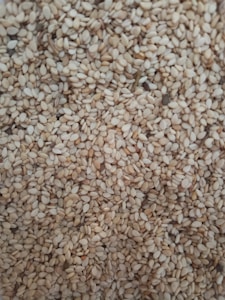 Sesame Seeds