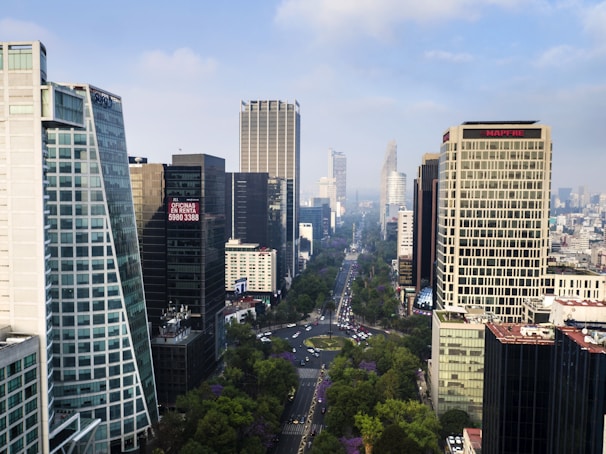 high rise buildings during daytime