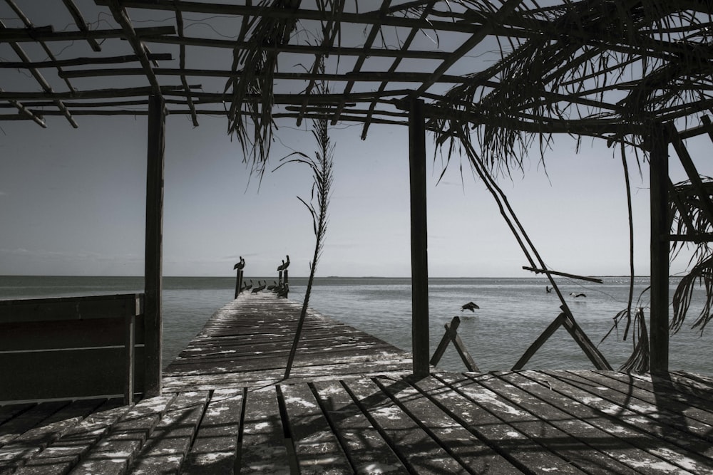 person standing on wooden dock during daytime