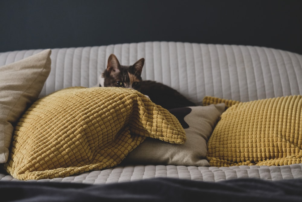 black cat on gray and white throw pillow