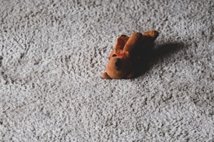 Carpet Flooring