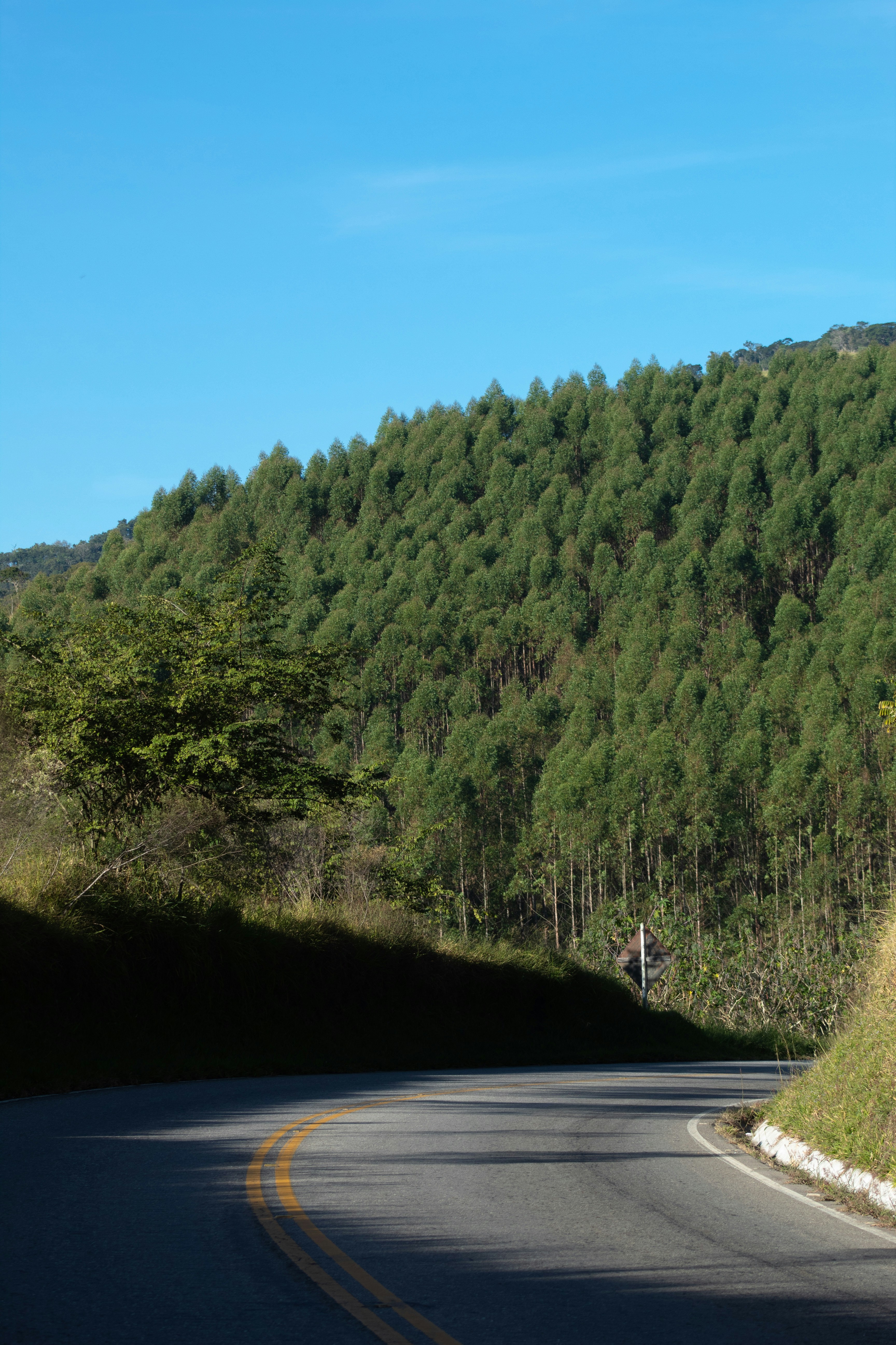 green trees on mountain under blue sky during daytime